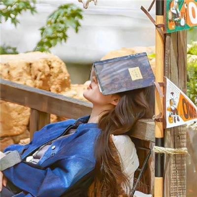 艾米丽的美国化